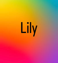 Load image into Gallery viewer, *Mto for Lily
